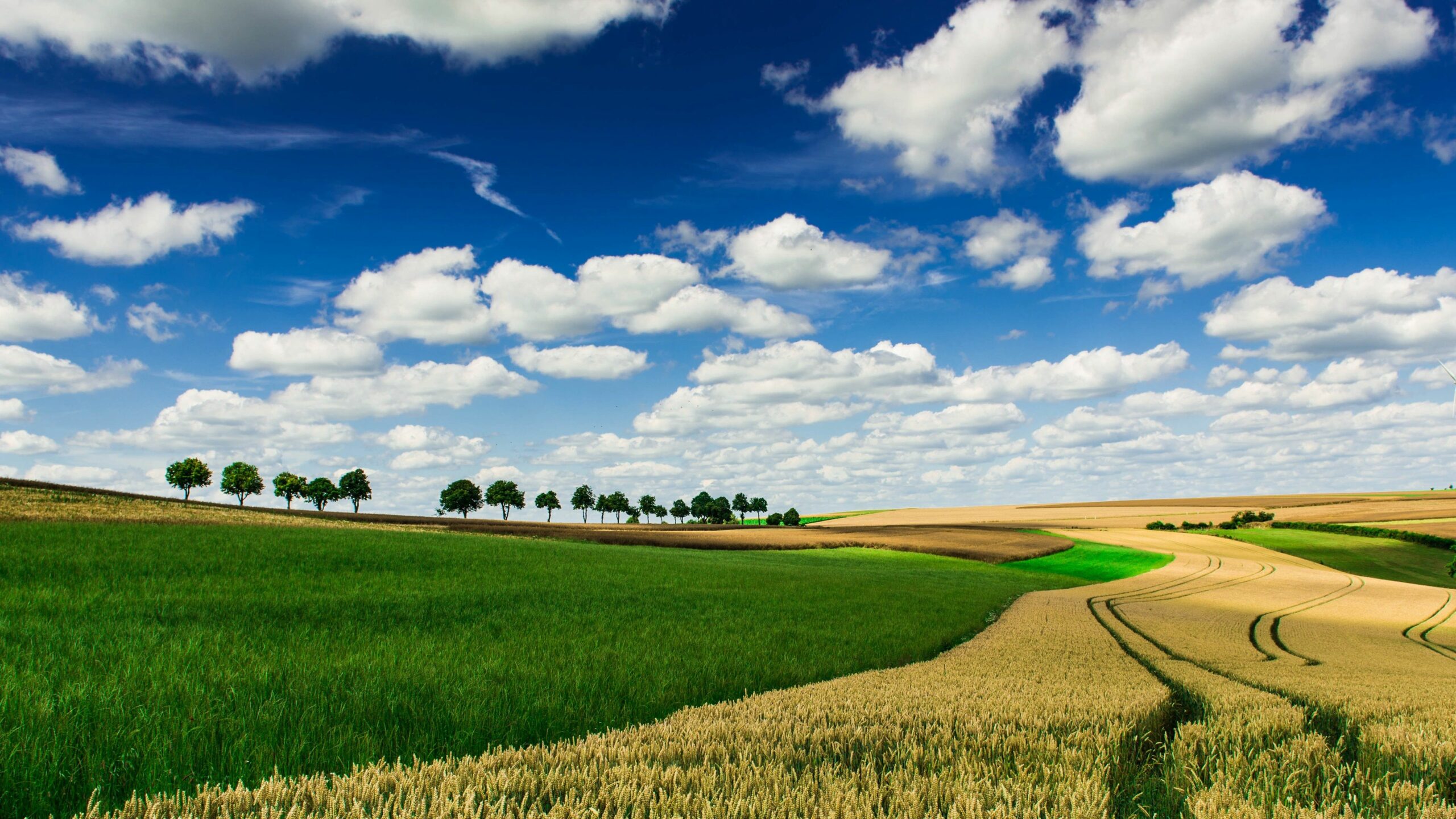 Tracking nature-based solutions with AGSOnline