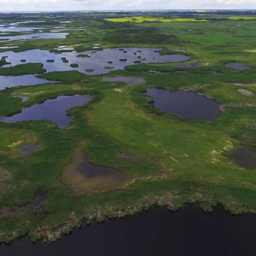 climate, wetlands
