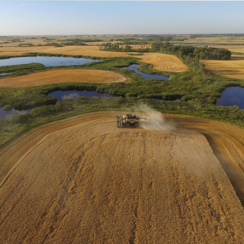 fields cropland regenerative agriculture