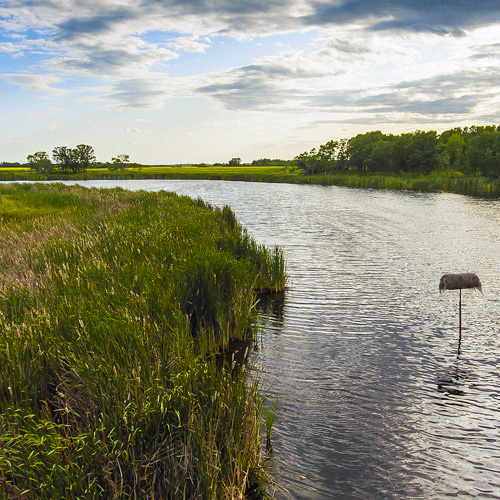 wetland rivers lakes water quality
