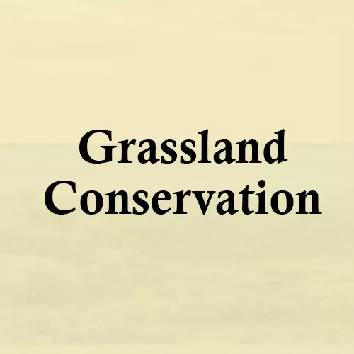 Grassland Conservation