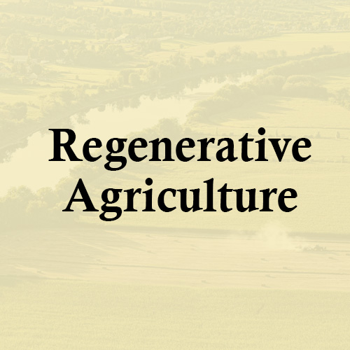 Support Regenerative Agriculture Practice