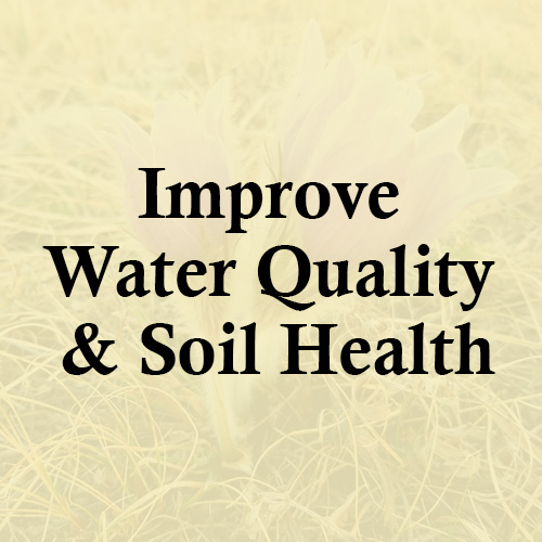 Improve Water Quality and Soil Health